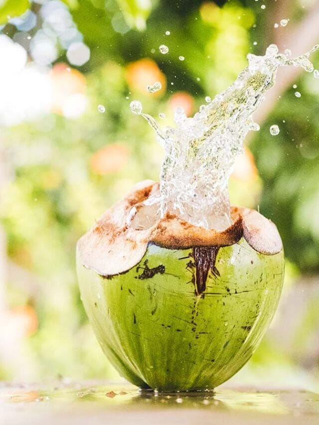 Coconut Water : नारळ पाणी शरीरासाठी ठरते फायदेशीर?