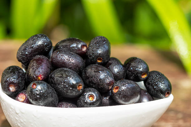istockphoto-1318256879-612x612