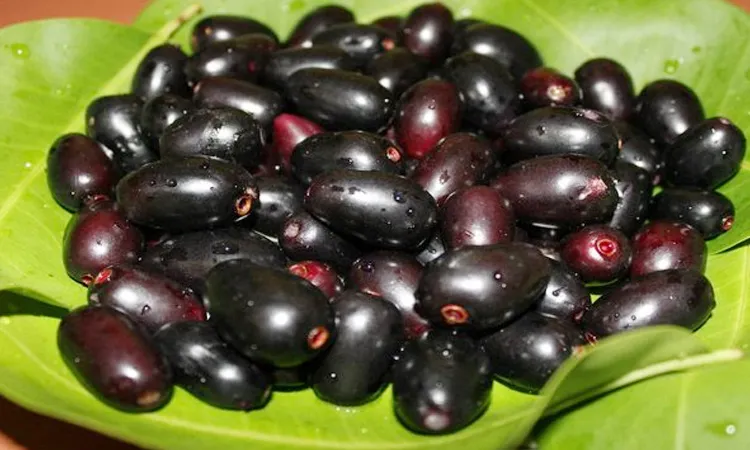 jamun