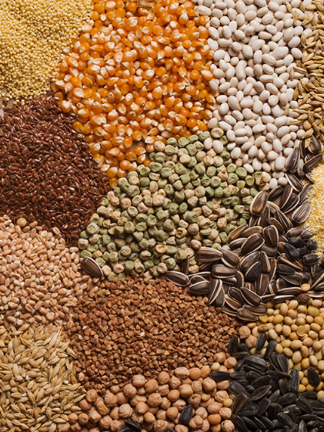Seeds | वेगवेगळ्या बिया खाल्याने कोणते फायदे होतात…