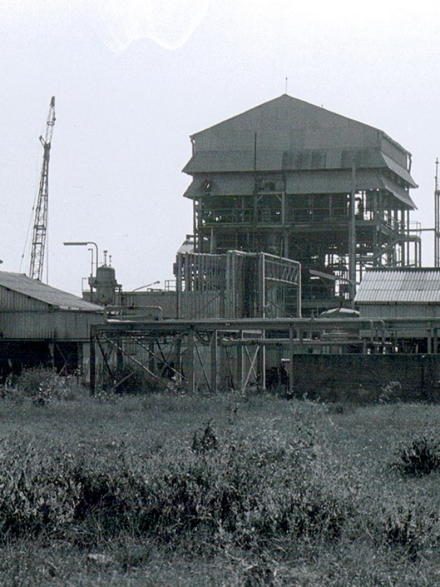 Bhopal Gas Tragedy | ३ डिसेंबर १९८४ रोजी झालेली भोपाळ दुर्घटना अजूनही आठवते का?तर चला एकदा त्या दिवसाची पुन्हा आठवण करूया…